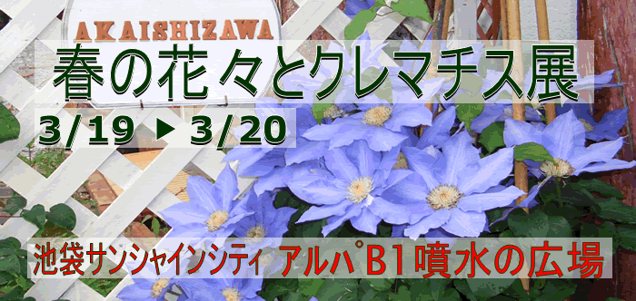 Y Sflower 矢祭園芸 こだわりの育種 丹精込めた生産